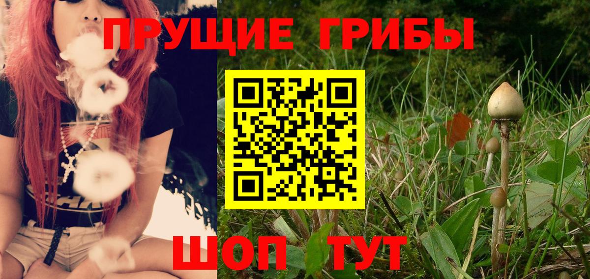 Гуково  Псилоцибиновые грибы GOLDEN TEACHER  Вход с VPN 