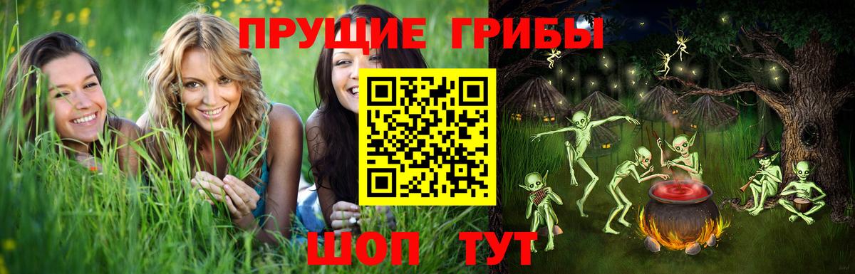 Галлюциногенные грибы Psilocybine cubensis Гуково